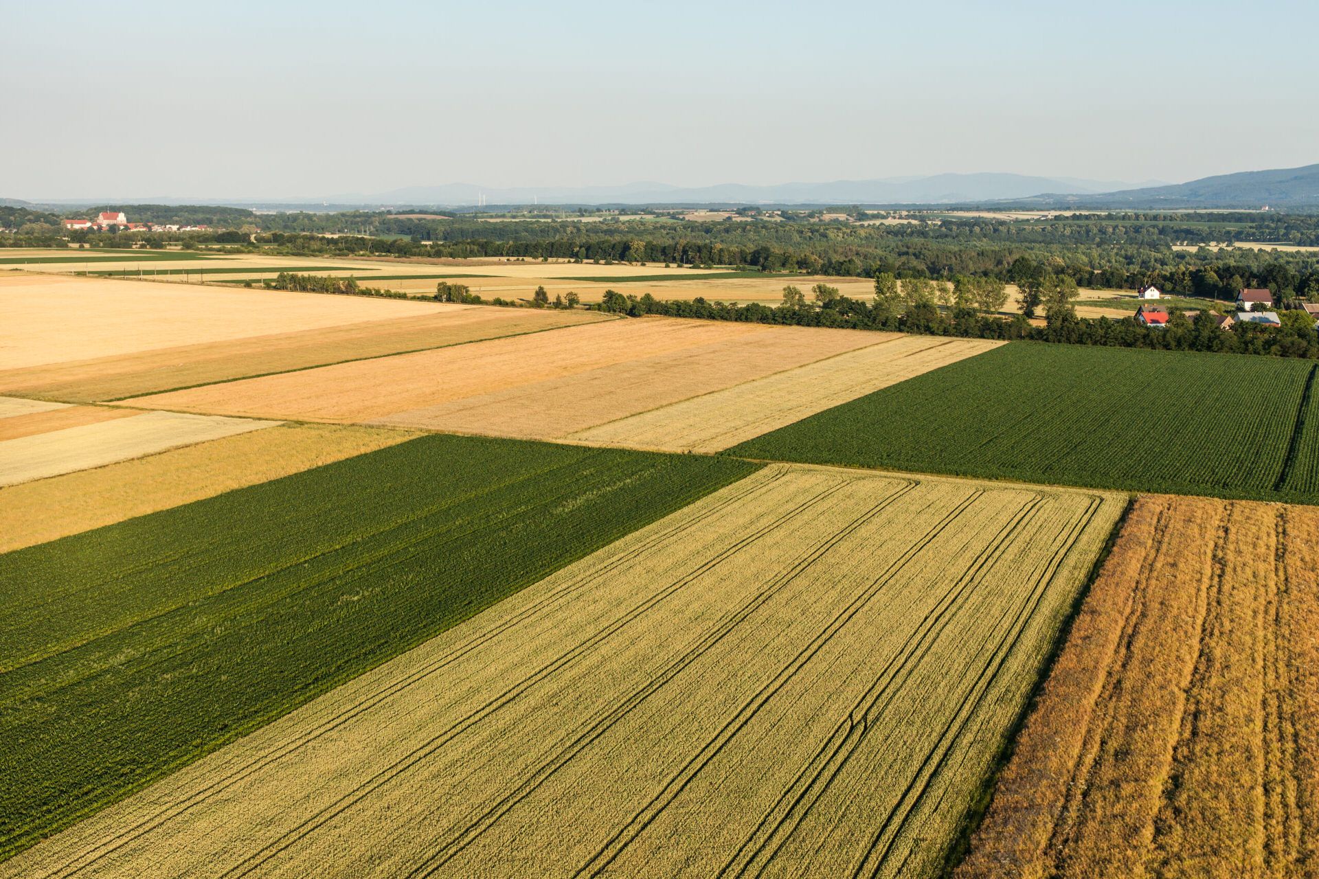 Farm Production Challenges and Solutions