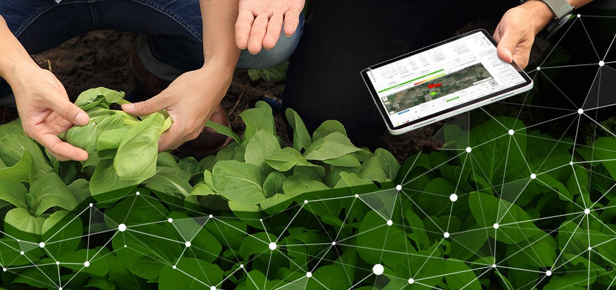 AGRIVI 10 Reasons Why Farmers