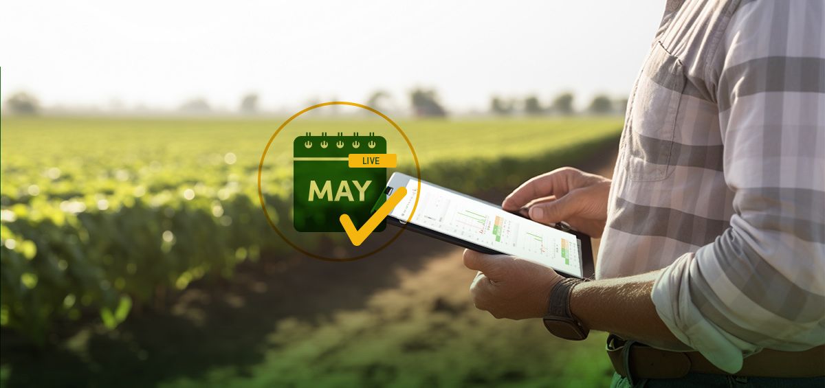Budget vs. Actual in Farm Management: Why Most Farms Find Out Too Late