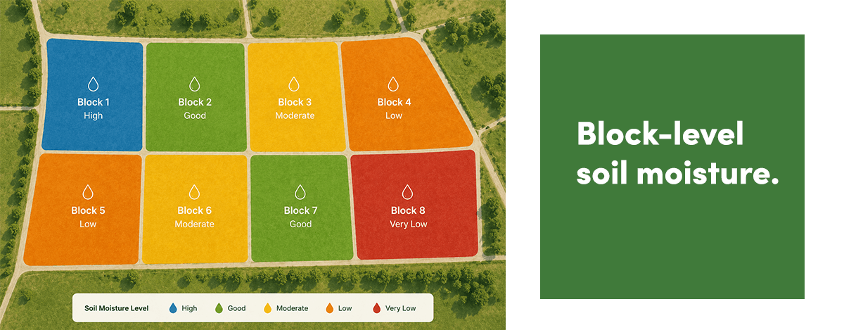 Block-level soil moisture dashboard mockup for Mediterranean specialty crop water management.