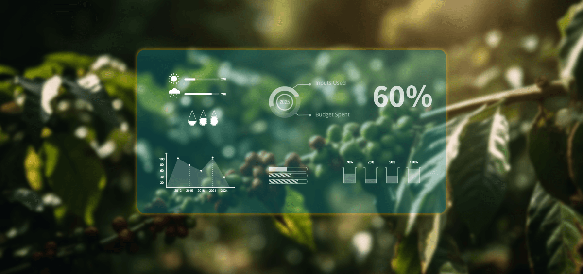 Coffee Value Chain Data Infrastructure Is Rebuilding From the Ground Up