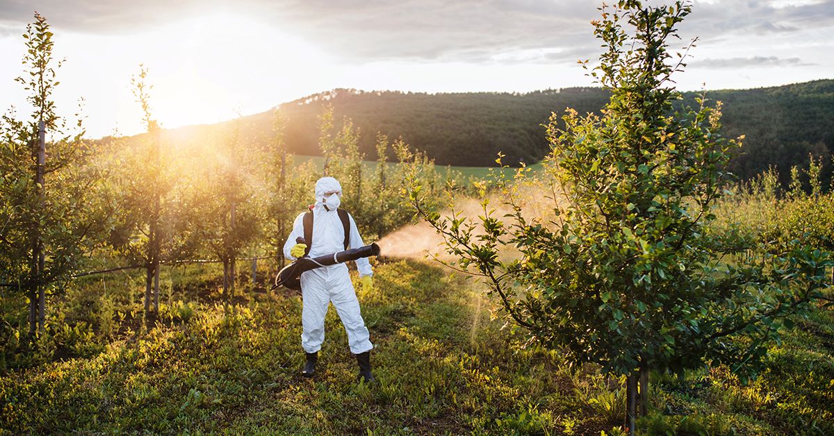 Agricultural Pollution and the Environment: What Can Be Done?