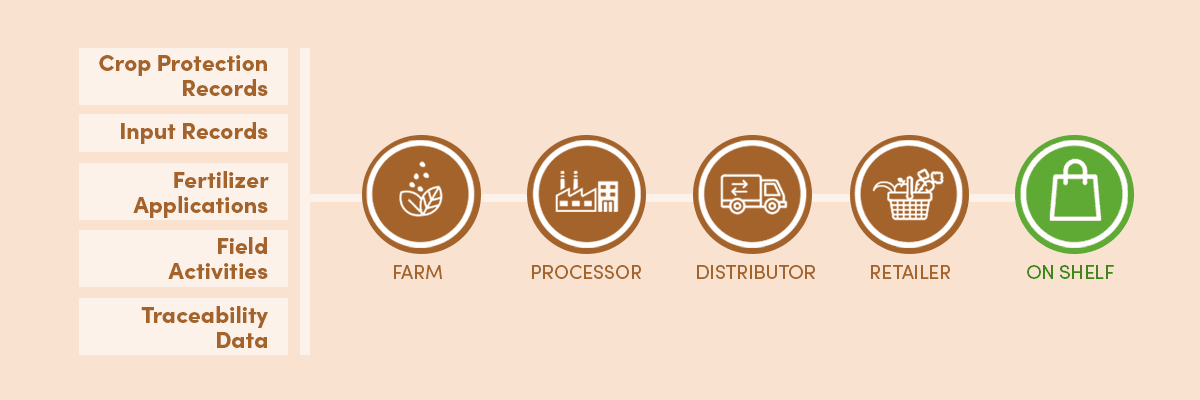 Infographic showing CSRD Scope 1 at 2%, Scope 2 at 3%, and Scope 3 at 70-90% of total emissions for food companies, with agricultural sourcing accounting for 40-60% of Scope 3 emissions. Source: GHG Protocol and European Commission CSRD Overview