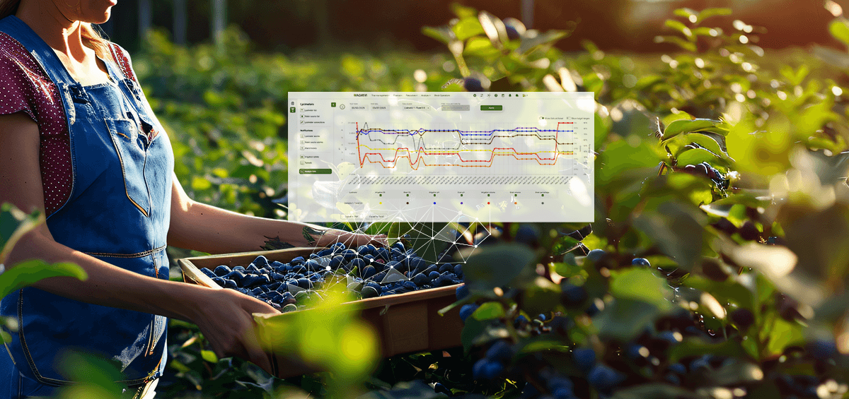 How Specialty Crop Farms Are Using Block-Level Data to Improve Seasonal Decisions