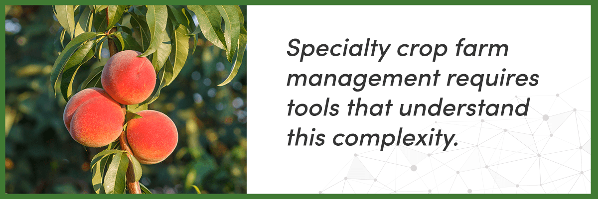 Three core challenges of specialty crop farm management: multi-variety management, labor coordination, and cost attribution, illustrated with icons on an AGRIVI green background.