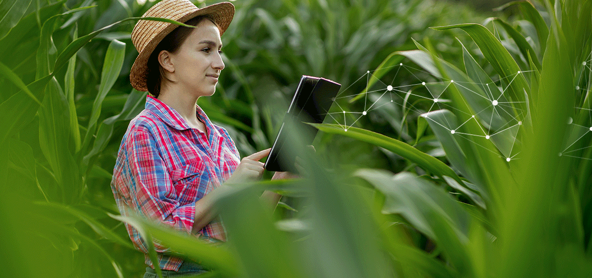How to Boost Your Profitability With Digital Agriculture?