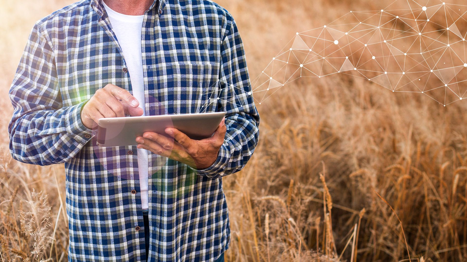 AGRIVI Starts New Year with Six New Partners in European, Middle Eastern, US, Latin America and Asian markets