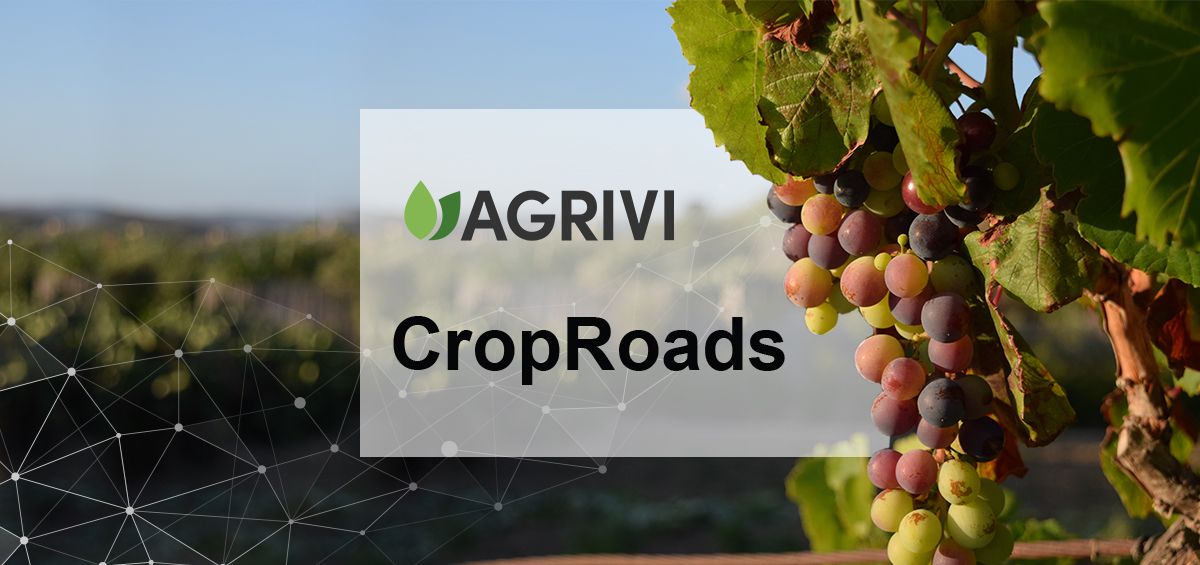 AGRIVI and CropRoads: Empowering Smart Agriculture through Partnership