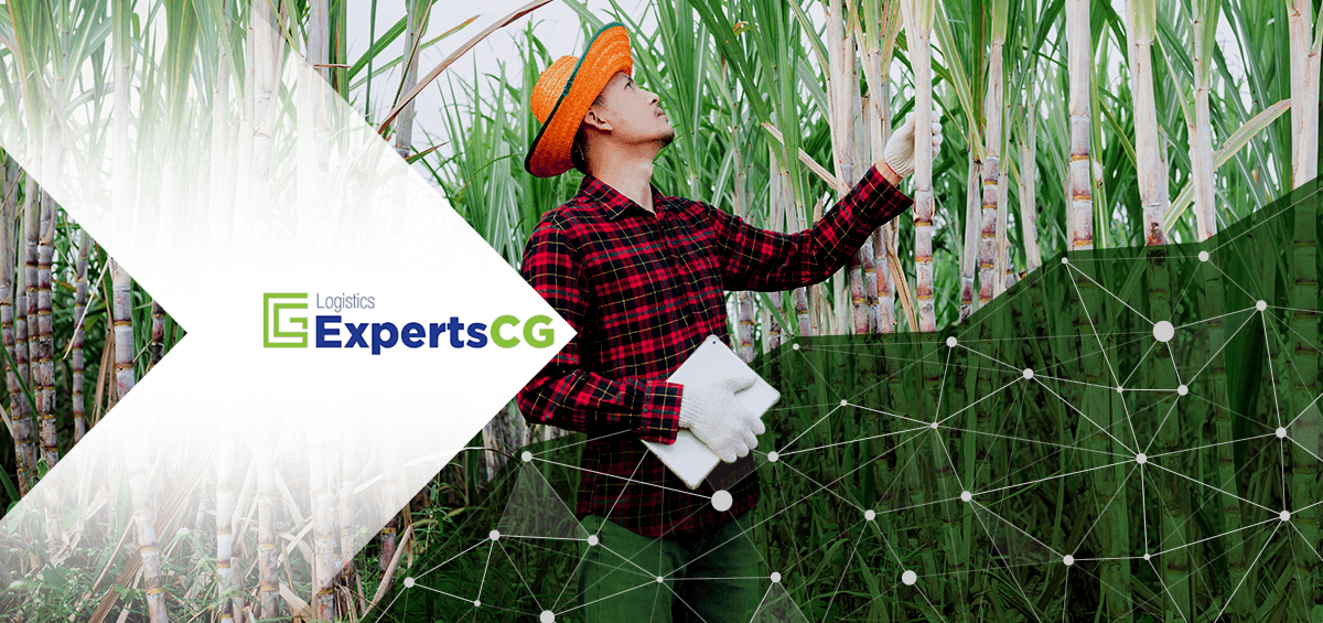 AGRIVI and The Logistics Experts Consulting Group Partner Up to Provide Innovative Solutions for Sugarcane Producers in the US