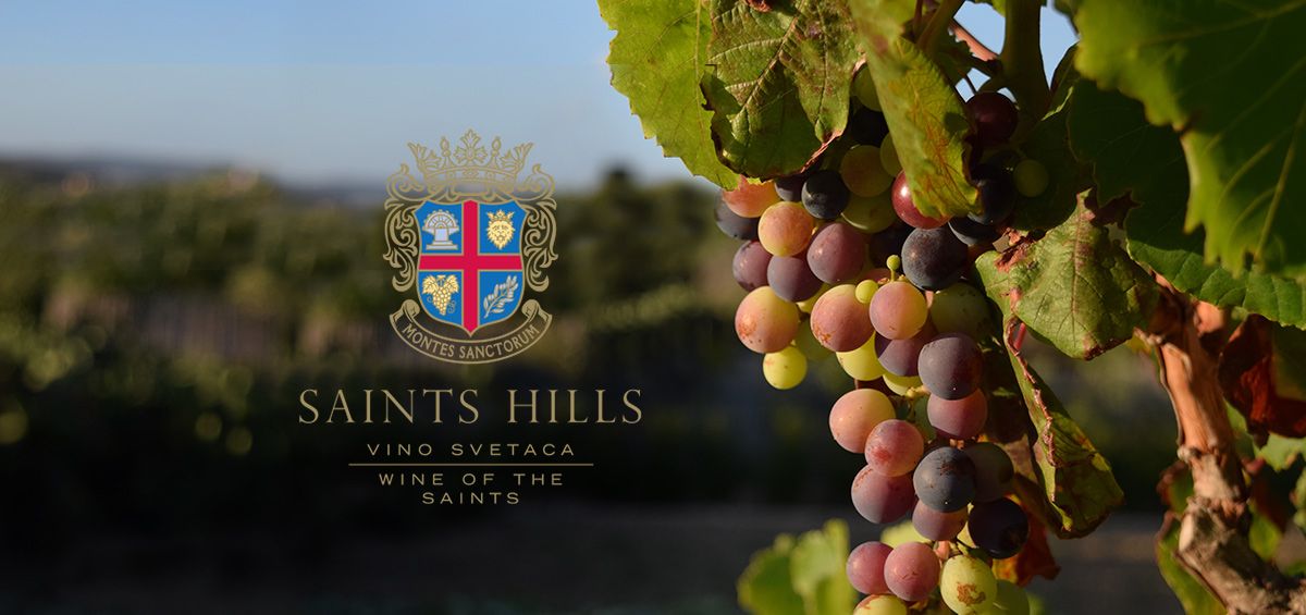 Saints Hills, a Wine Producer, Chooses AGRIVI to Digitalize Their Field Operations and Cellar Management
