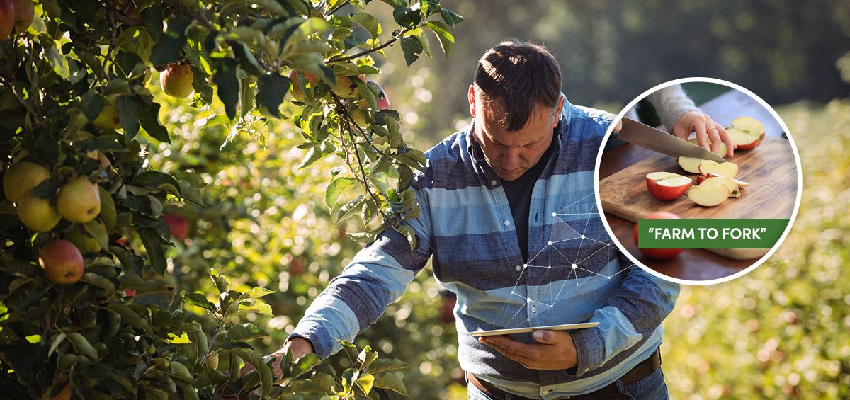 AGRIVI’s Advanced Traceability Dashboard Enhances Food Safety and Transparency for Farmers and Consumers Alike