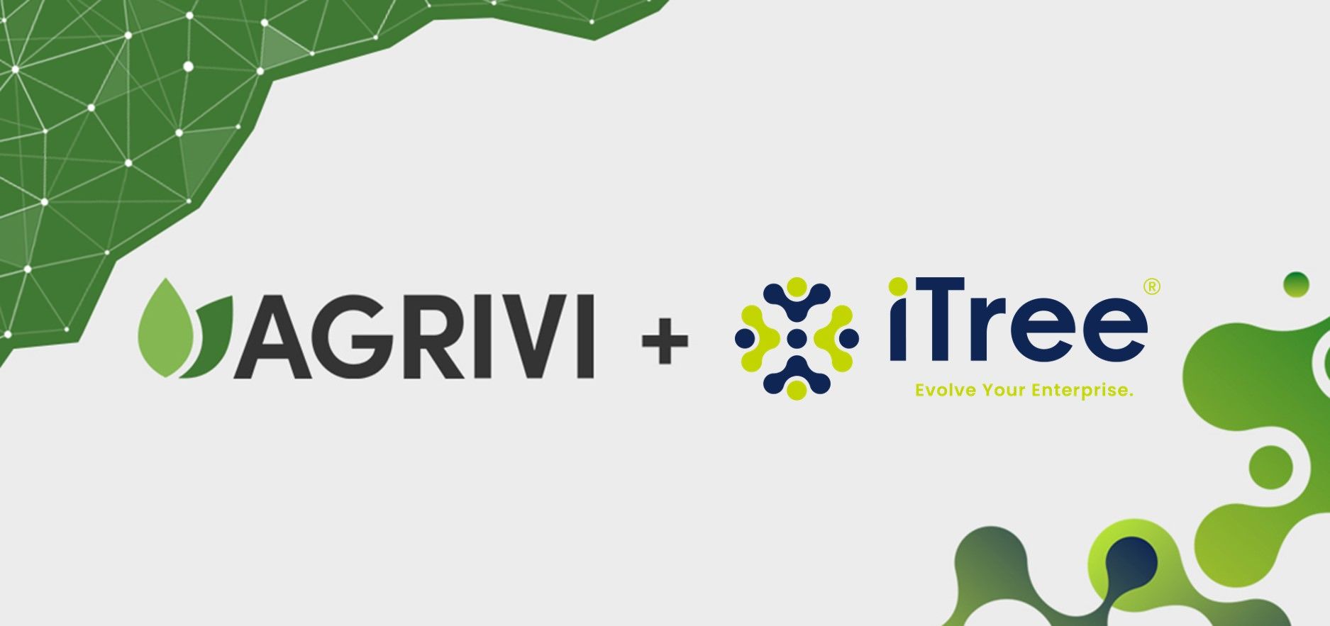 AGRIVI and iTree Partnership Collaboration for Digital Agriculture Solutions in Mexico