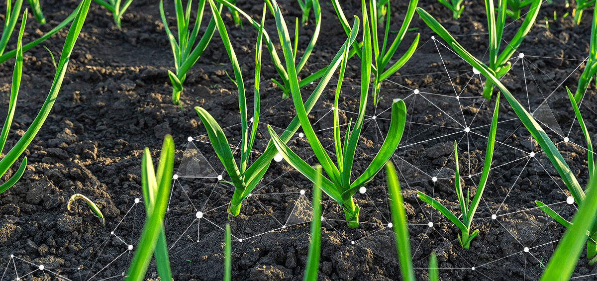 A Game-Changing Process of Making Fertilizers
