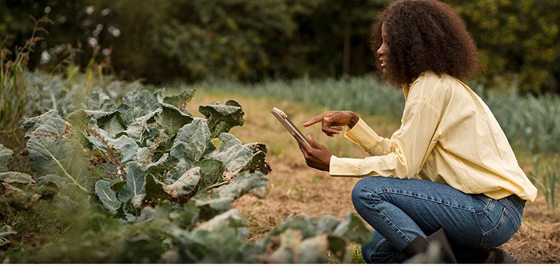 African Greeneurs Horticulture (AG Horticulture) studija slučaja