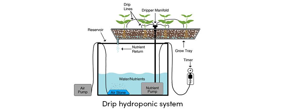 Drop Hydroponic System