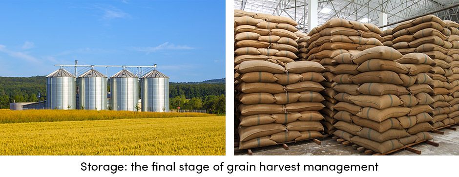 Grain Storage