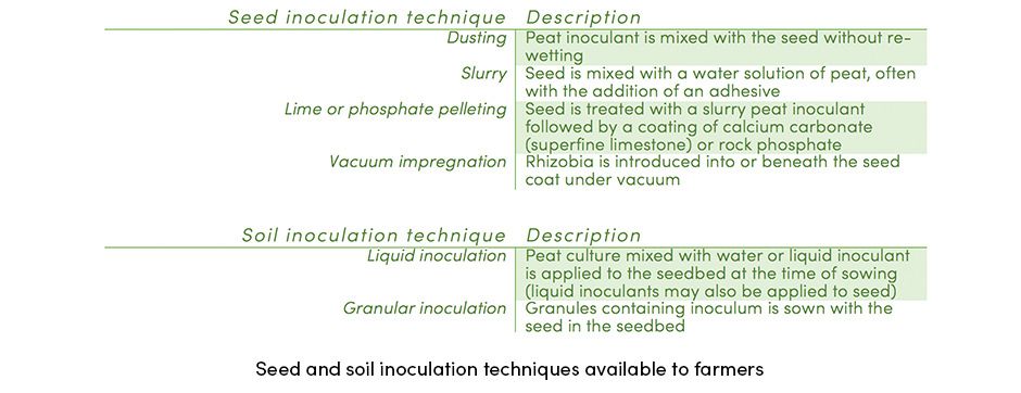 Seed and Soil