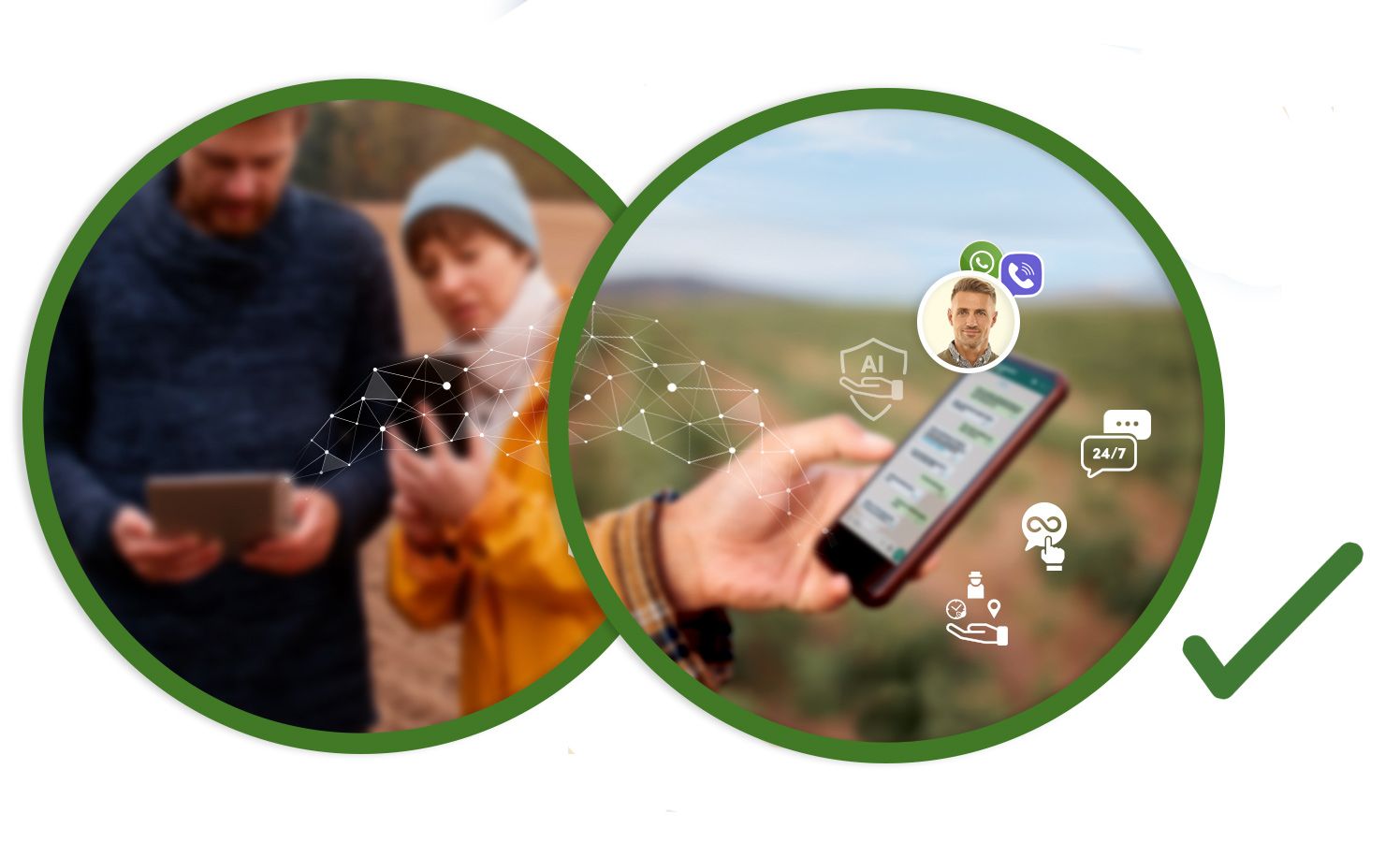 Farmers checking the AI Local Advisor on their phones