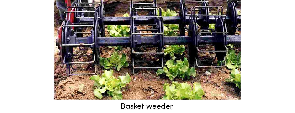 Basket Weeder