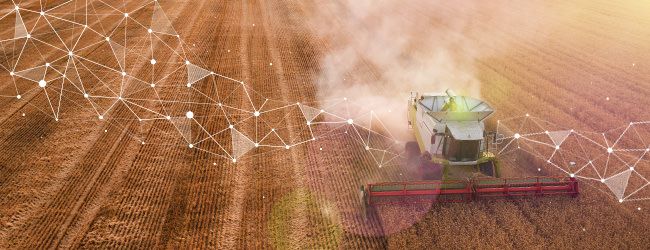 agrivi investment