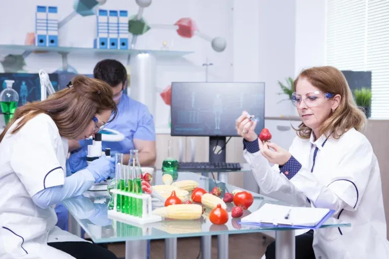 scientist conducting food analysis of a red vegitable