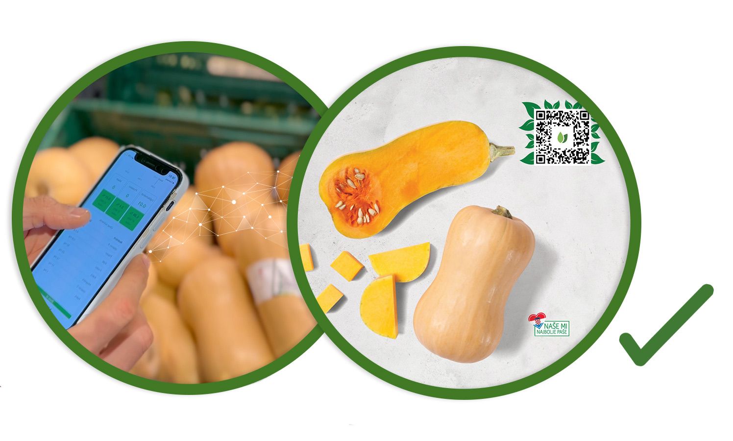 Farmer logging harvest data next to a QR code applied to fresh produce