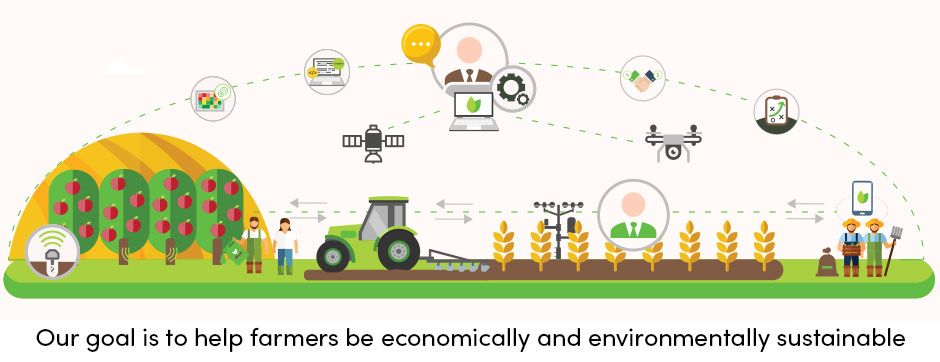 agrivi key learnings
