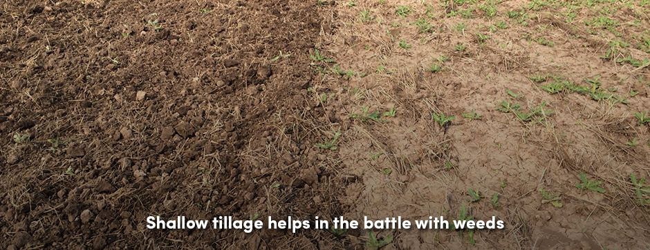 Plowed Field