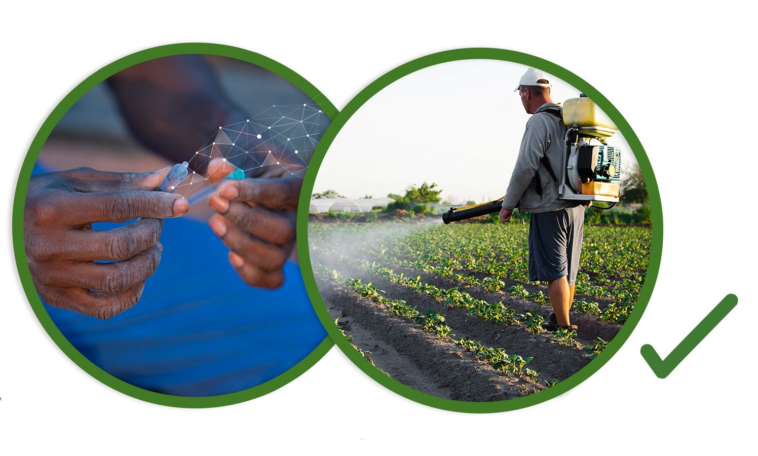 Digitizing crop-input records in the field and applying crop protection product
