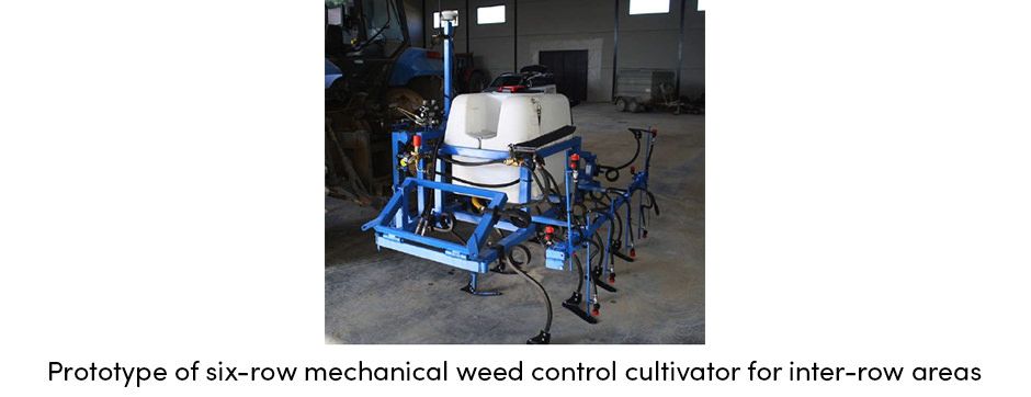 Six Row Weed Cultivator