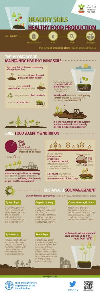 soil-healthy-food-production