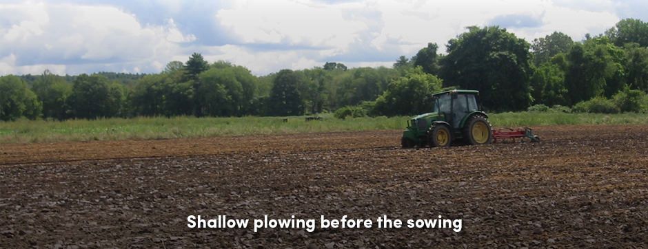 Tractor Plowing Field 2